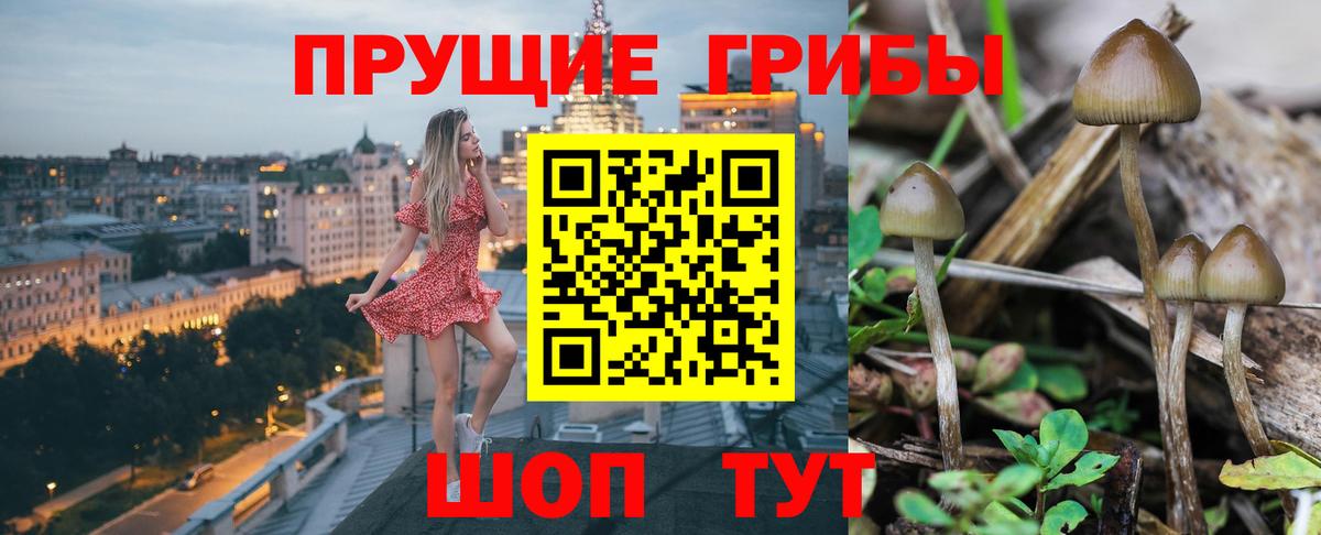 Псилоцибиновые грибы прущие грибы Волжский