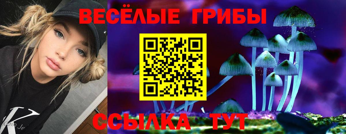 Псилоцибиновые грибы Psilocybe  Вход с VPN  закладка  Волжский 